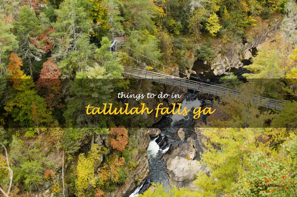 things to do in tallulah falls ga