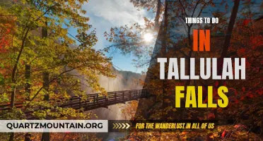 12 Must-Try Activities for a Thrilling Adventure in Tallulah Falls
