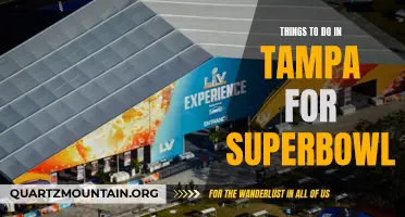 10 Exciting Activities to Experience in Tampa for Super Bowl Weekend