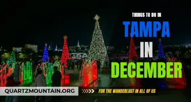 12 Fun Activities to Experience in Tampa This December