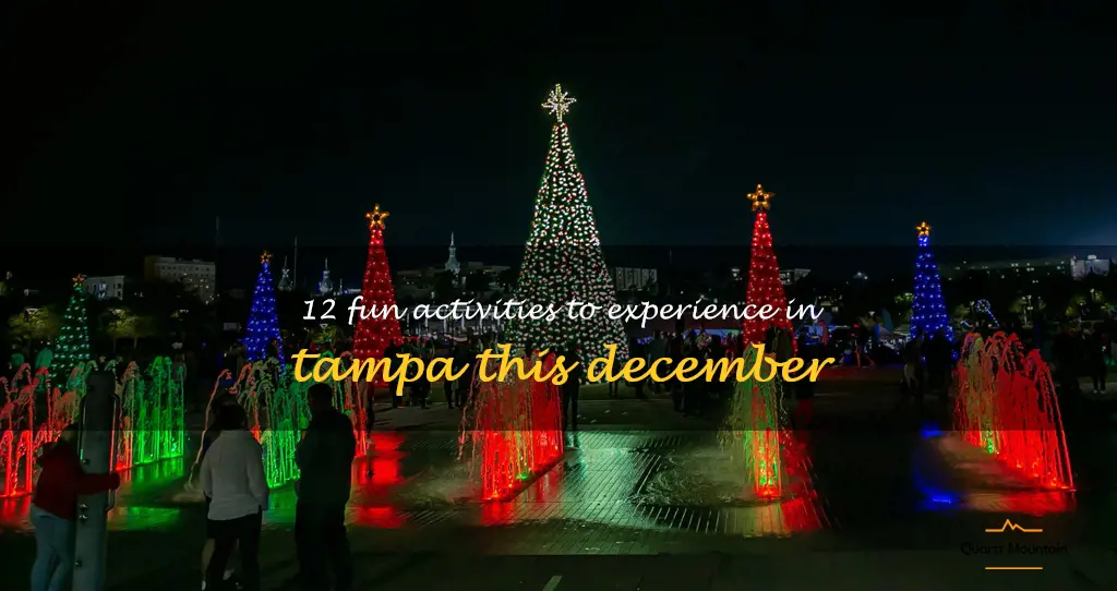 things to do in tampa in december