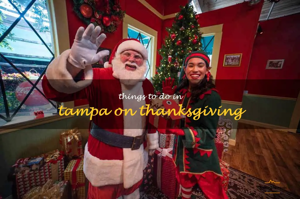 things to do in tampa on thanksgiving