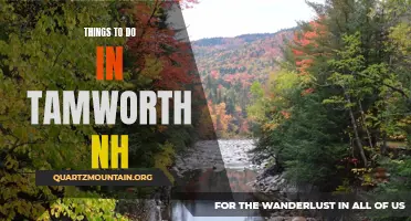12 Exciting Activities to Experience in Tamworth NH