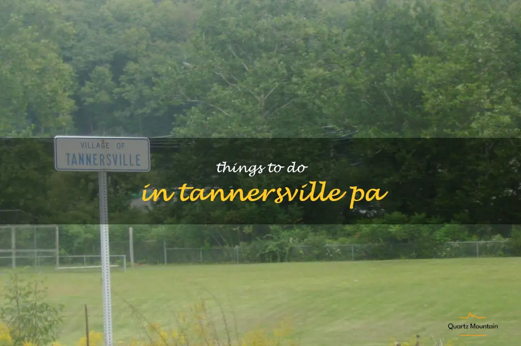 things to do in tannersville pa