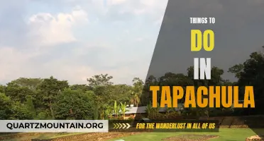 Exploring Tapachula: Top Activities and Attractions to Experience in the Charming City