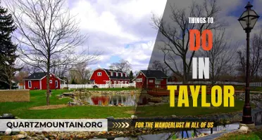Exploring Taylor: An Adventure-filled Guide to Fun Activities