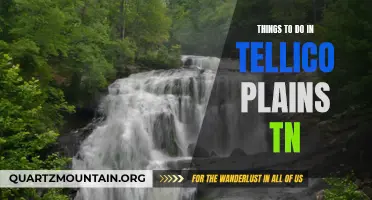 15 Fun Activities to Experience in Tellico Plains, TN