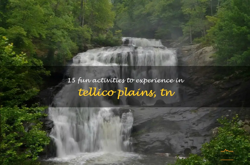 things to do in tellico plains tn