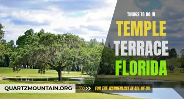 10 Fun and Unique Things to Do in Temple Terrace, Florida