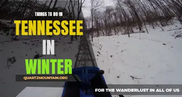 13 Winter Activities in Tennessee You Can't Miss