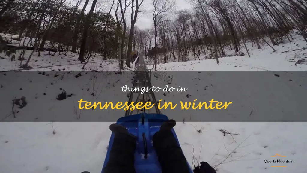 things to do in tennessee in winter