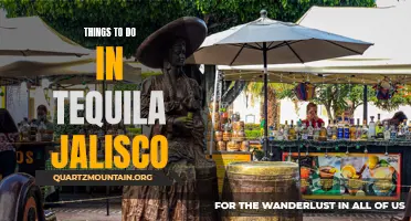 13 Unique Things to Do in Tequila, Jalisco