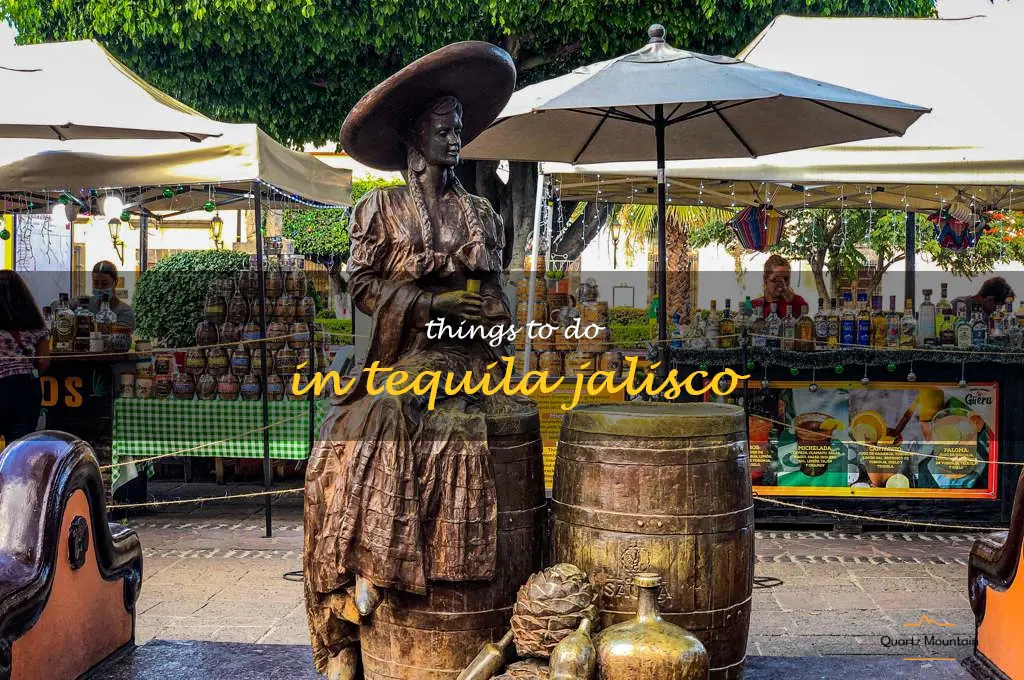 things to do in tequila jalisco