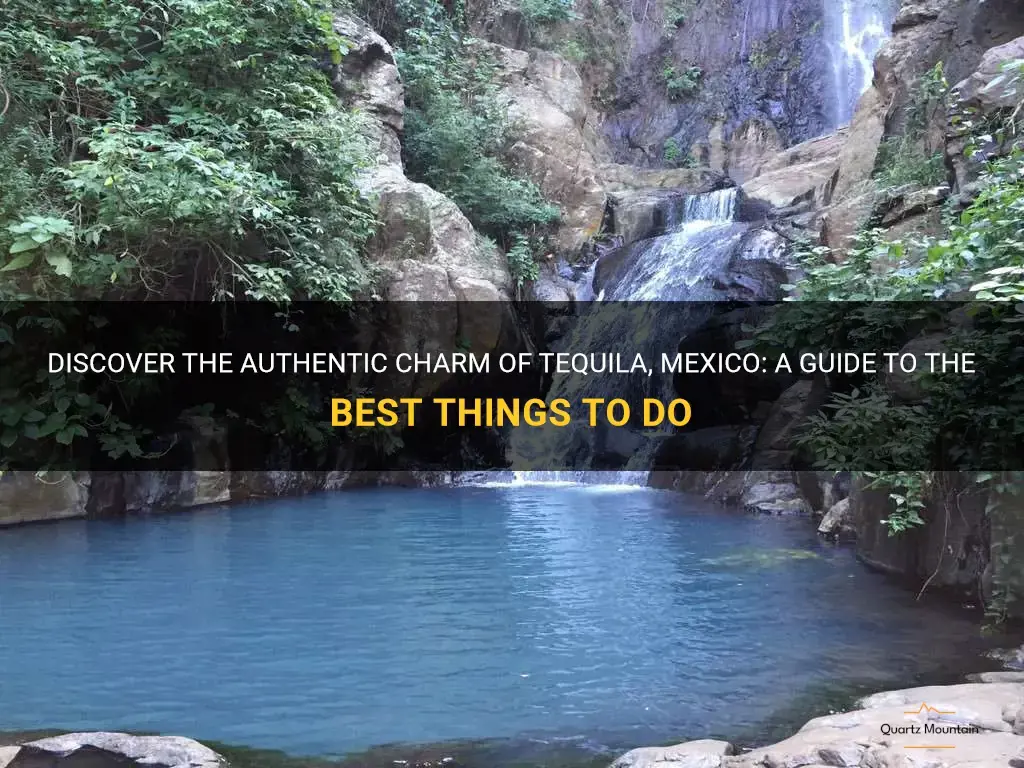 things to do in tequila mexico