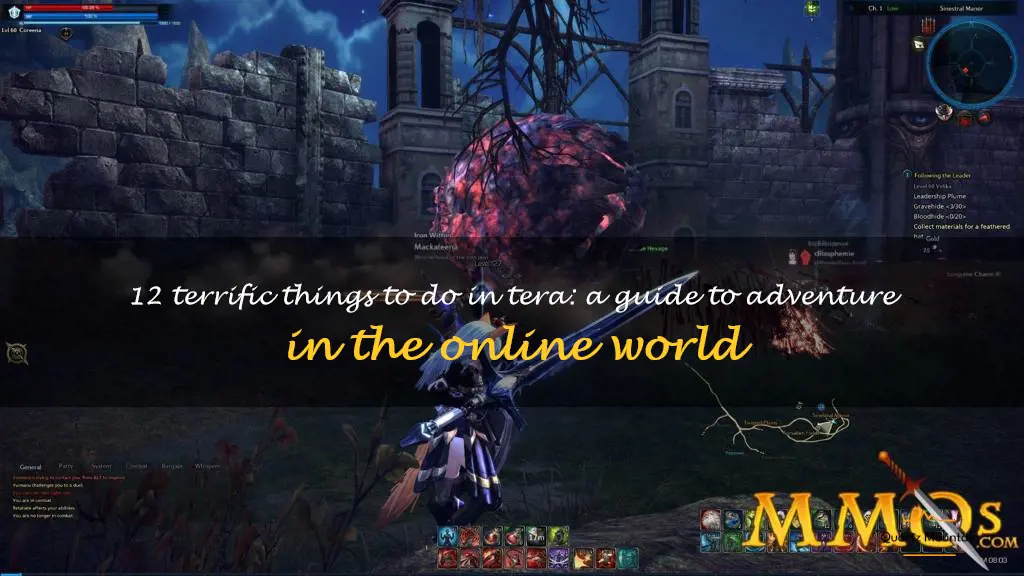 things to do in tera