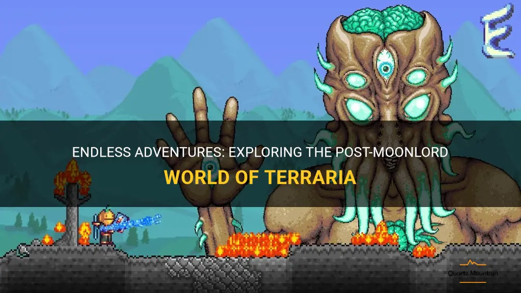 things to do in terraria after moonlord