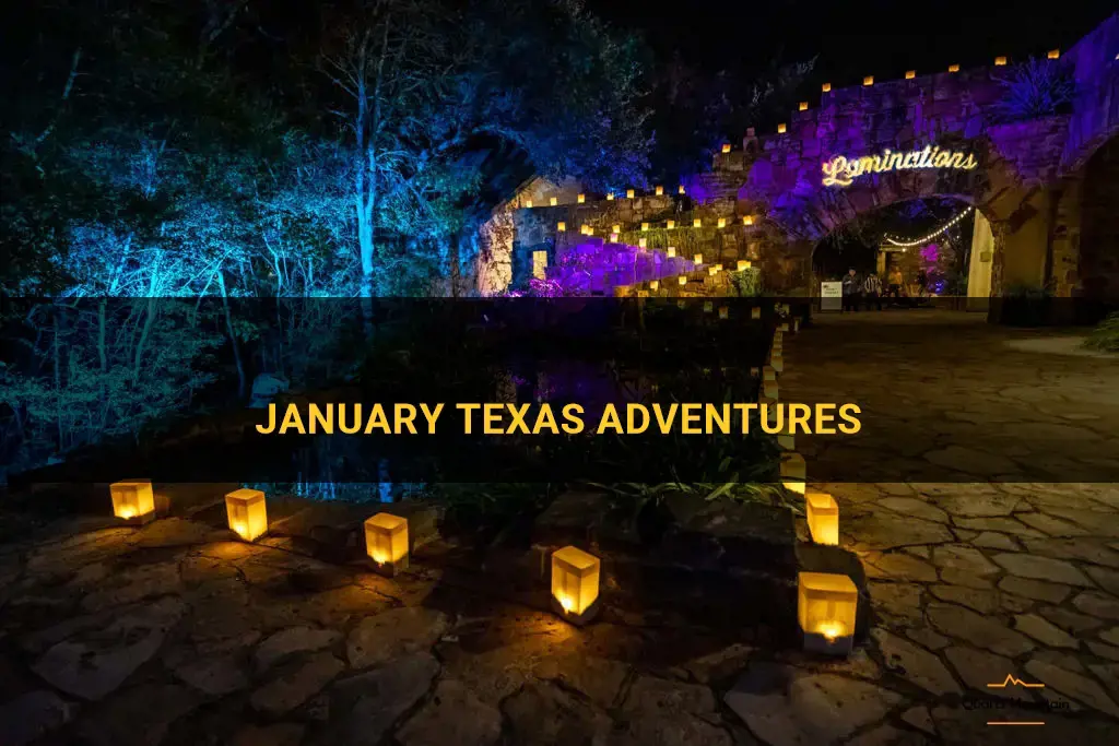 things to do in texas in january