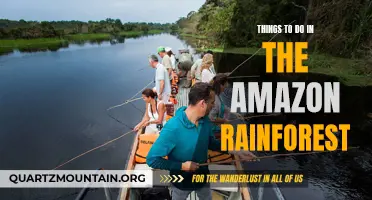 11 Must-Do Activities in the Amazon Rainforest