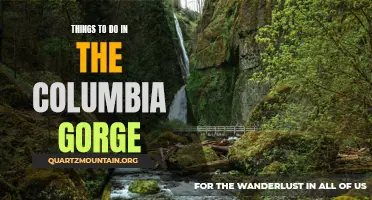 11 Exciting Activities to Experience in the Columbia Gorge