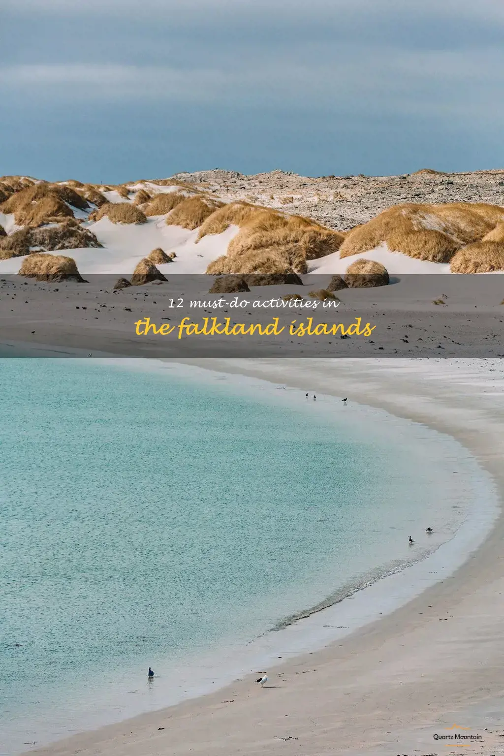 things to do in the falkland islands