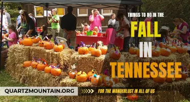 The Ultimate Guide: Fun and Exciting Things to Do in Fall in Tennessee