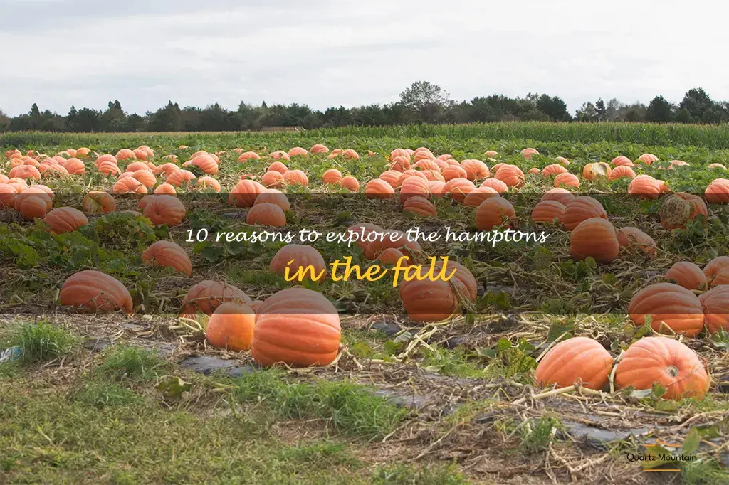 things to do in the hamptons in the fall