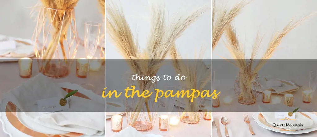 things to do in the pampas