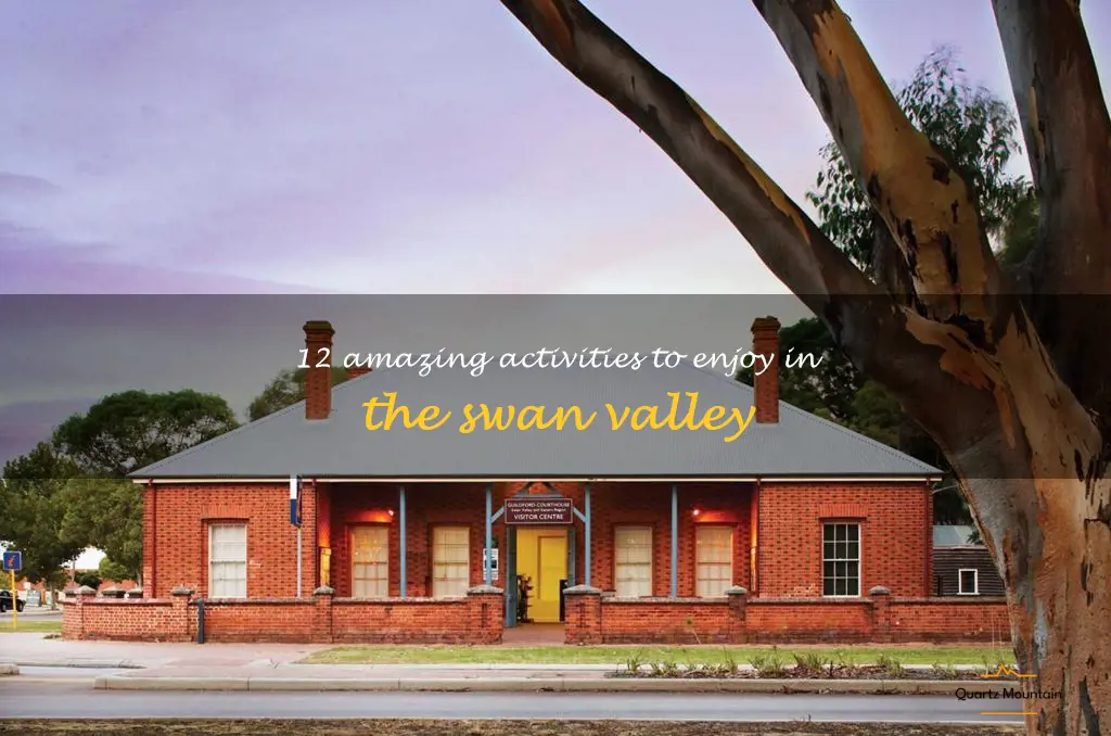 things to do in the swan valley