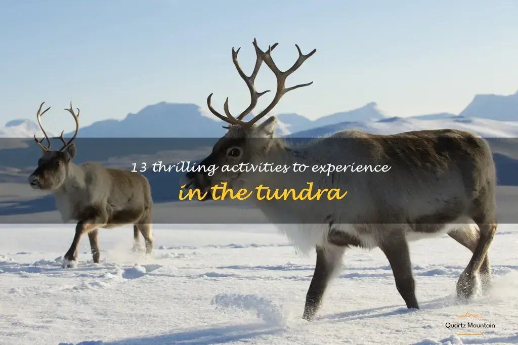 things to do in the tundra