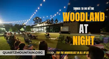 12 Exciting Nighttime Activities to Enjoy in The Woodlands