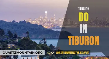 12 Fun and Exciting Things to Do in Tiburon, California