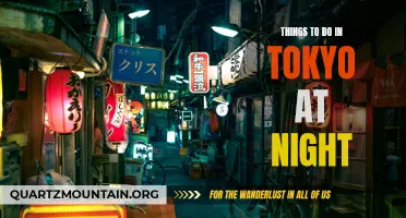 12 Must-See Attractions for Night Owls in Tokyo
