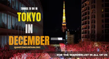 A Tokyo Winter Wonderland: Top 10 Must-Do Activities in Tokyo in December