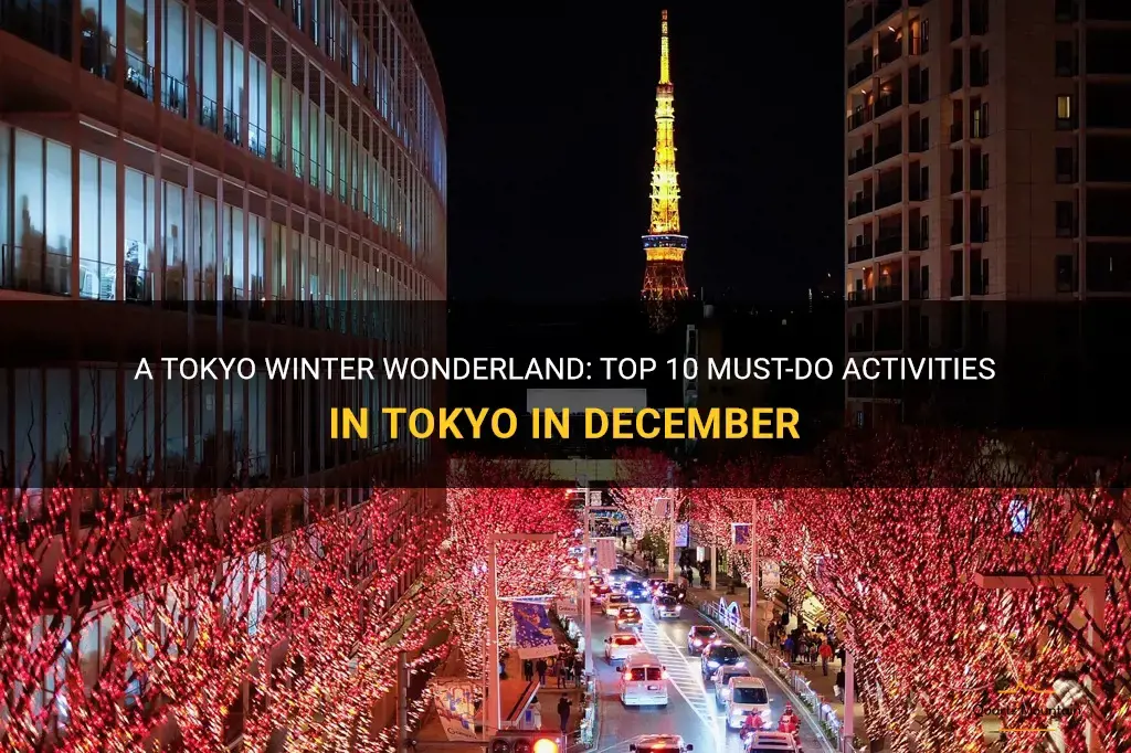 things to do in tokyo in december