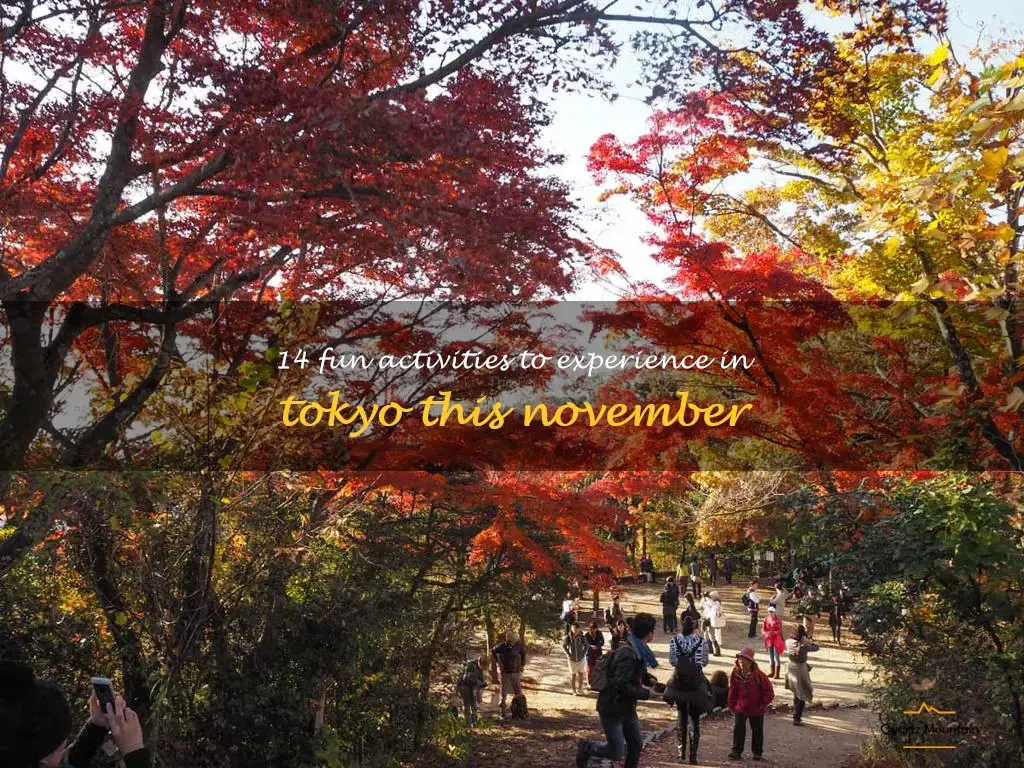 things to do in tokyo in november