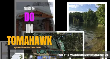 Exploring Paradise: Exciting Things to Do in Tomahawk
