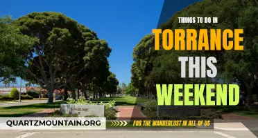 12 Fun Activities to Experience in Torrance This Weekend