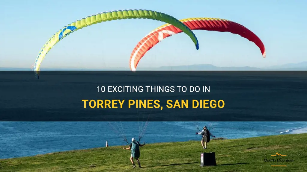 things to do in torrey pines san diego