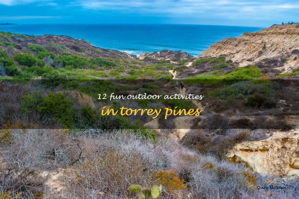 things to do in torrey pines