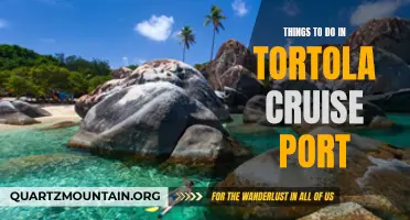 Exploring Paradise: The Top Activities to do in Tortola Cruise Port
