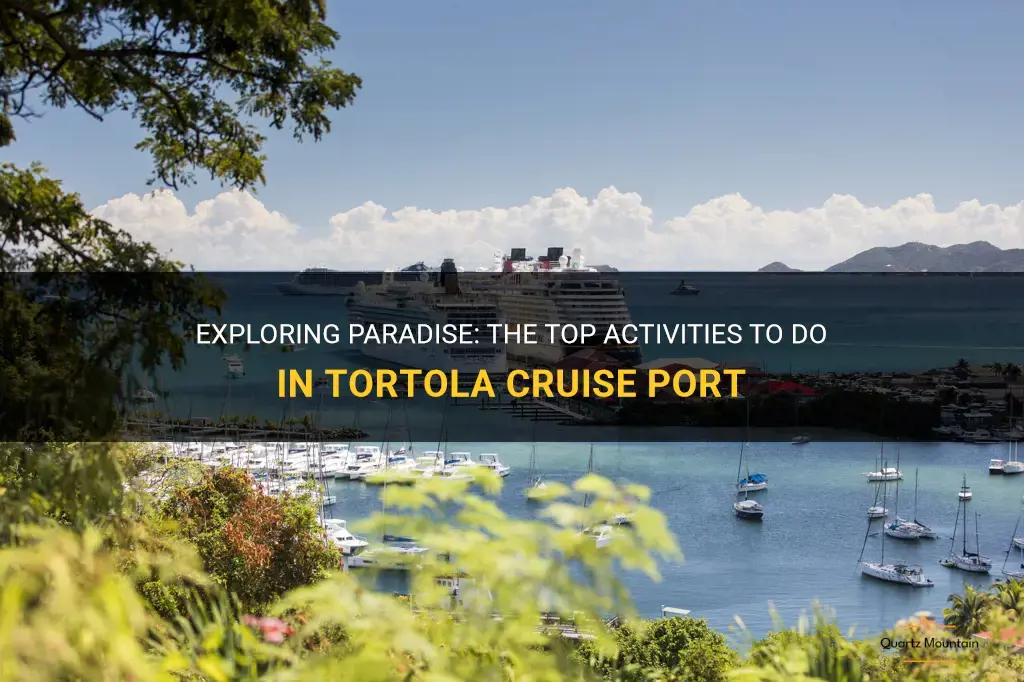 things to do in tortola cruise port