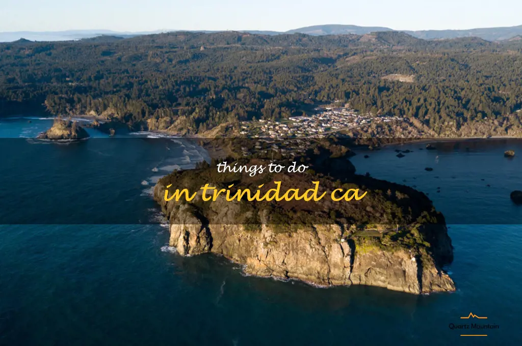 things to do in trinidad ca