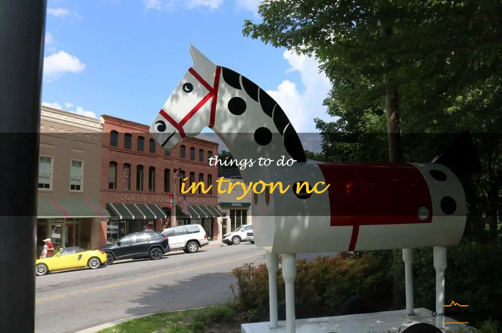 things to do in tryon nc