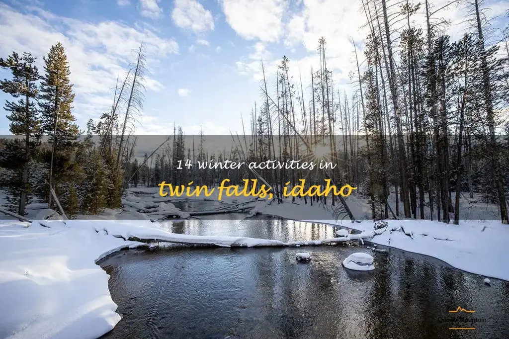 things to do in twin falls idaho in the winter