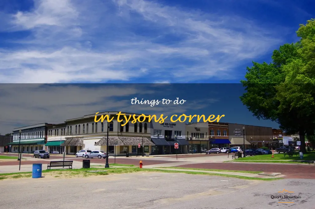 things to do in tysons corner