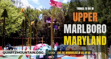Exploring the Charm of Upper Marlboro, Maryland: Top Activities and Attractions