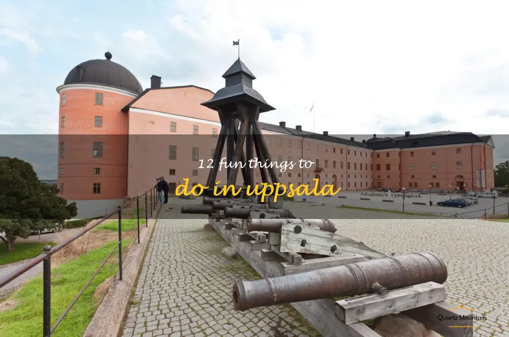 things to do in uppsala