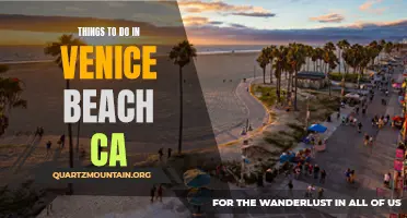 14 Amazing Things to Do in Venice Beach, CA