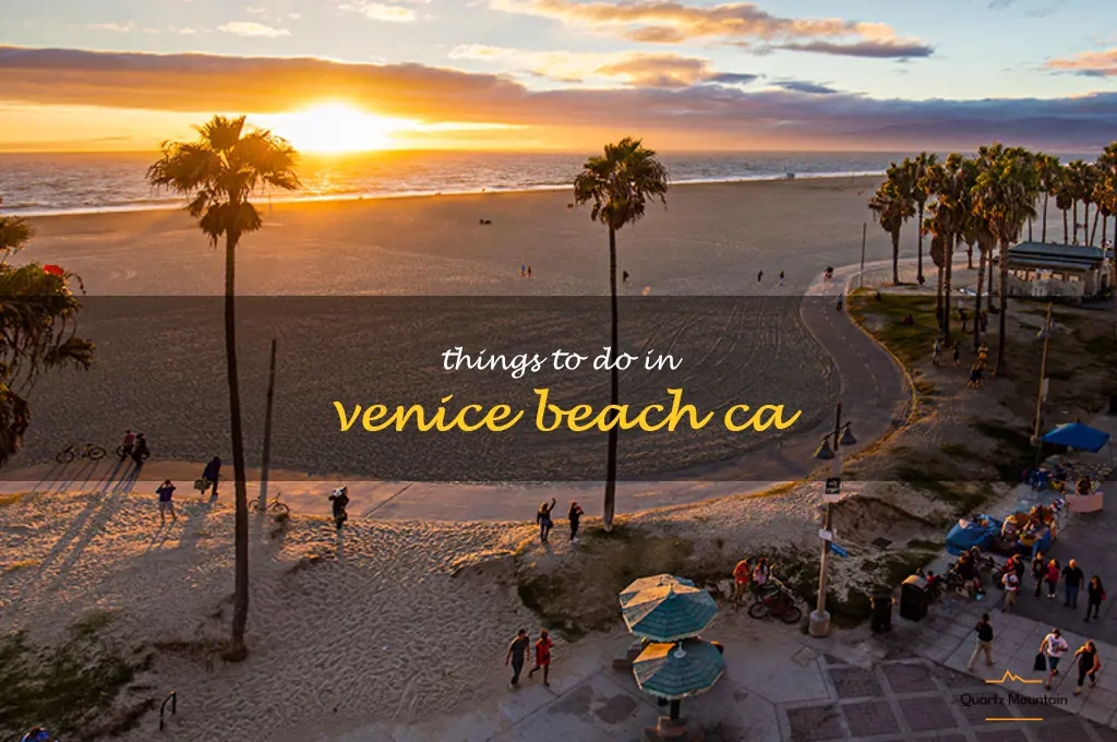 things to do in venice beach ca
