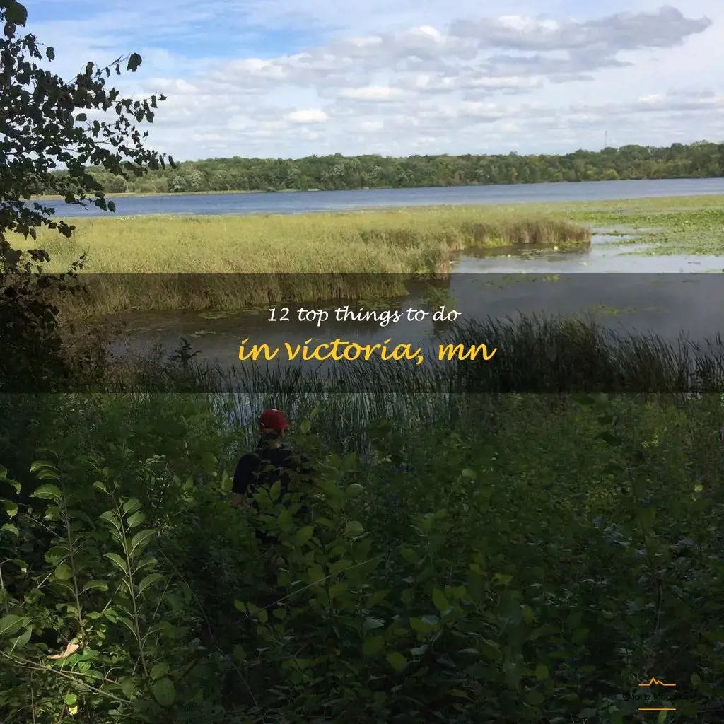 things to do in victoria mn